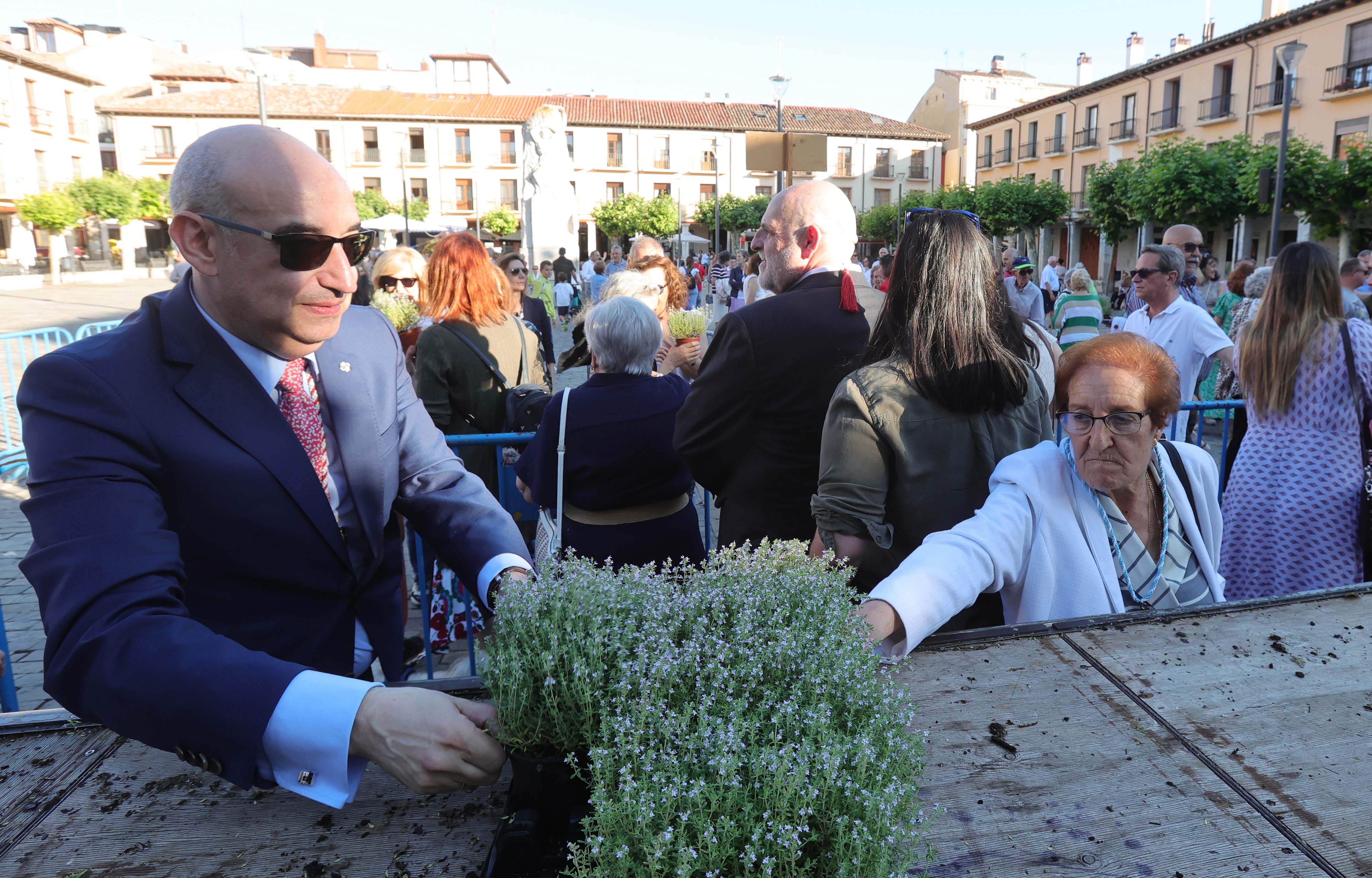 Celebración de San Juan en Palencia