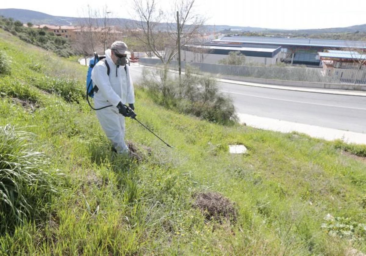 Aplicación de herbicida en un campo.