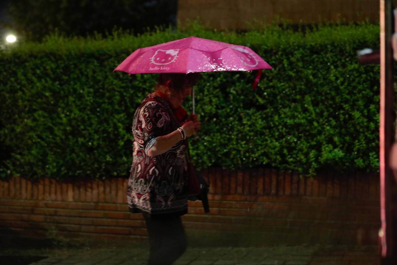 La tormenta en Valladolid, en imágenes