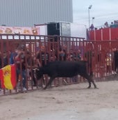 Villanueva de Duero vibra con una animada suelta de un toro y una vaca