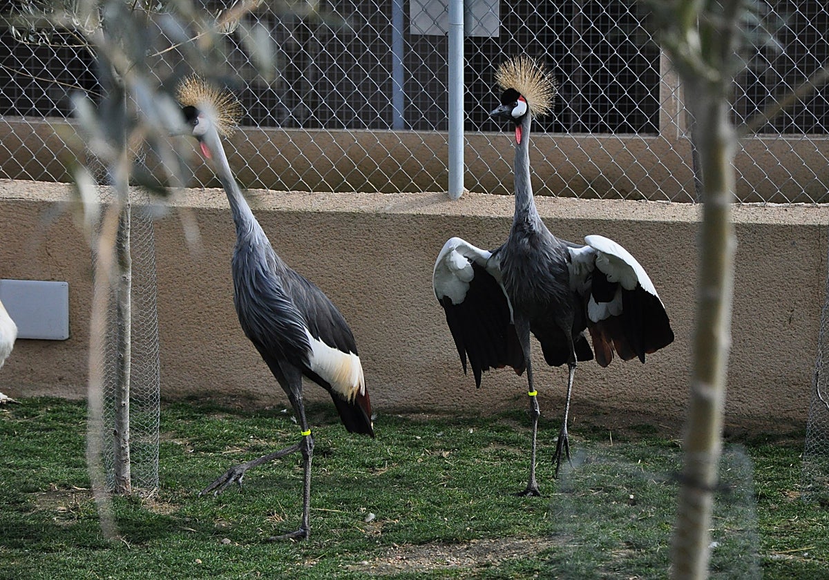 Centro de Aves, en Fresno el Viejo.