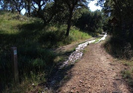 Vertido en el Monte el Viejo.