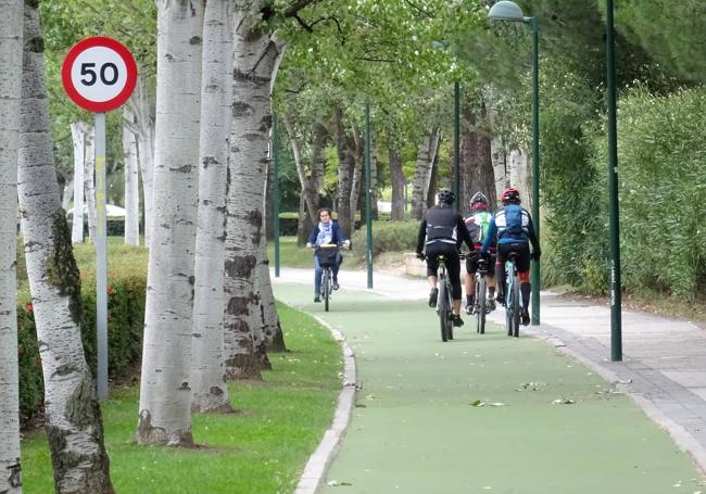 Carril bici de la avenida de Zamora, cerca del centro comercial Vallsur.