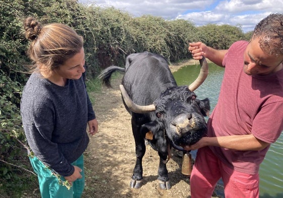 Una veterinaria y un ganadero salmantino observan una vaca afectada por la EHE.