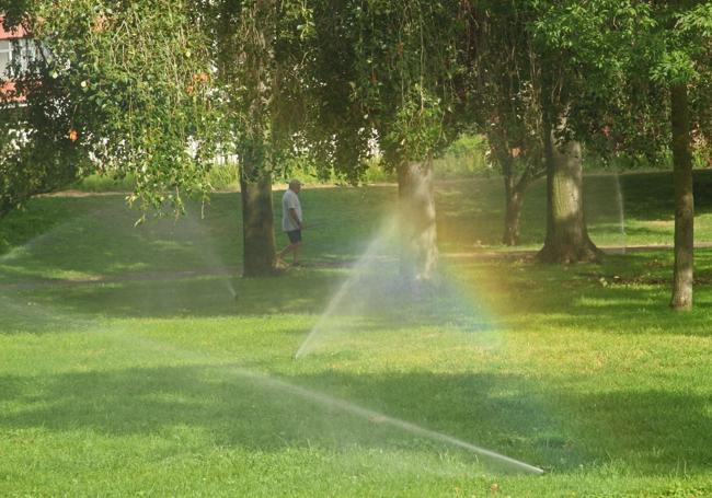 Jardín botánico en La Victoria