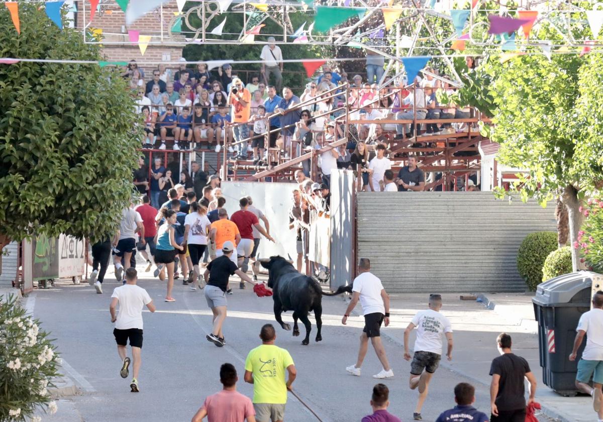 Encierro en las fiestas de La Seca, en imagen de archivo.