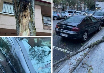 El Ayuntamiento de Salamanca paga chapa y pintura de un coche afectado por un temporal