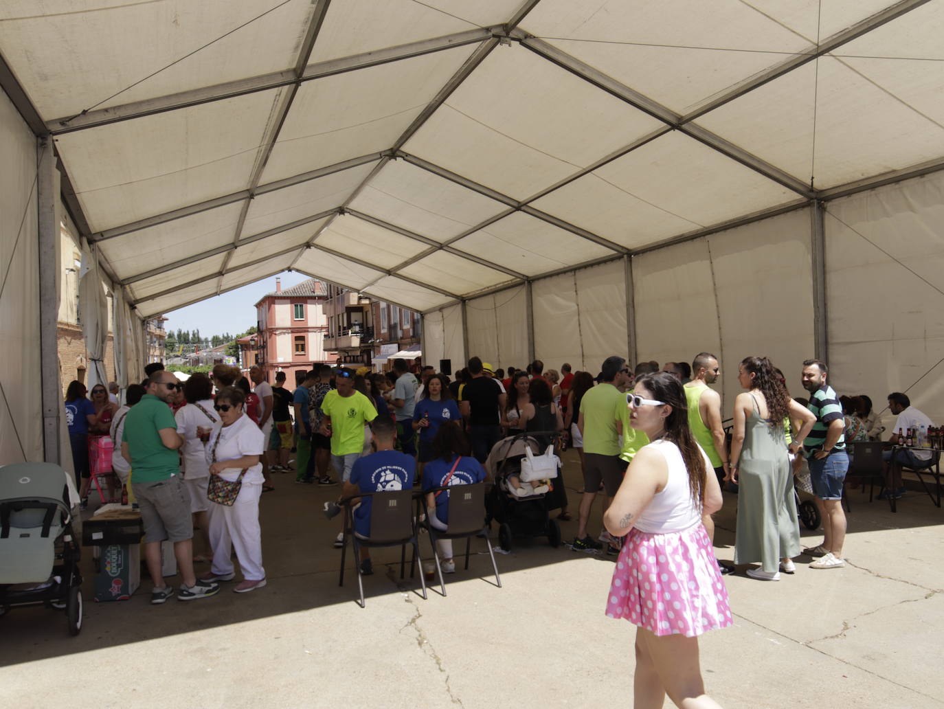 Las peñas animan las fiestas de Osorno