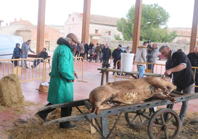 Matanza doméstica en la localidad palentina de Herreras de Valdecañas.