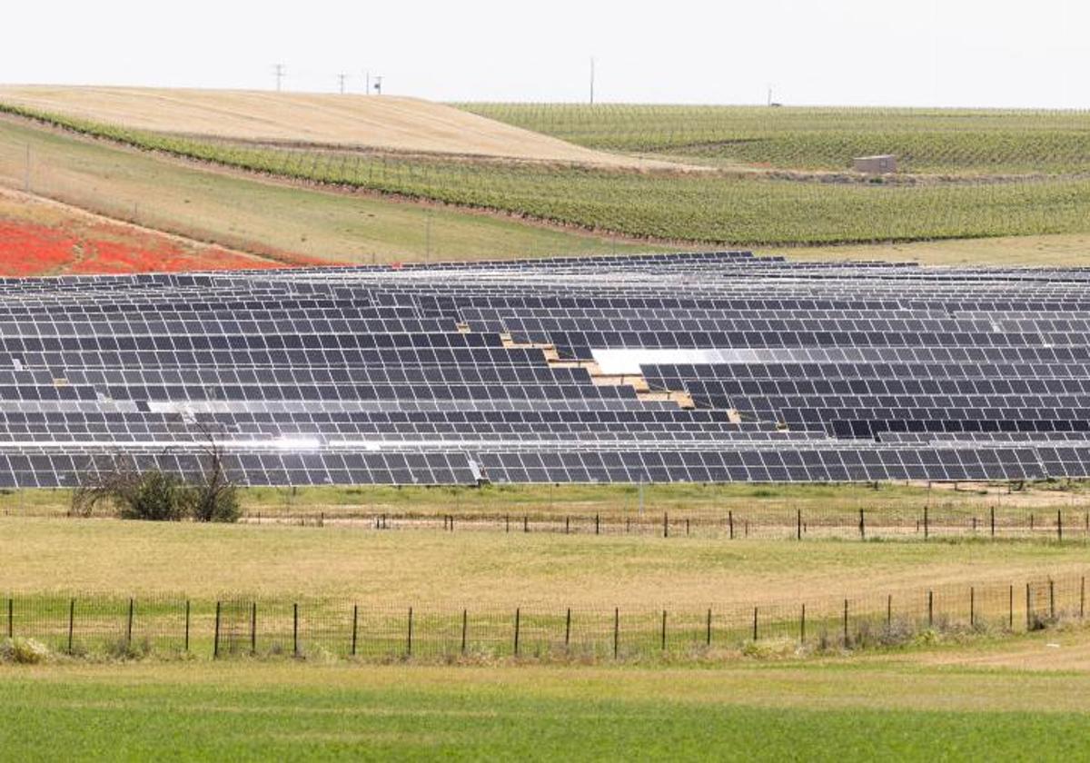 Placas solares en Rueda.