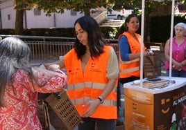 Campaña de concienciación del uso del contenedor marrón en Segovia.