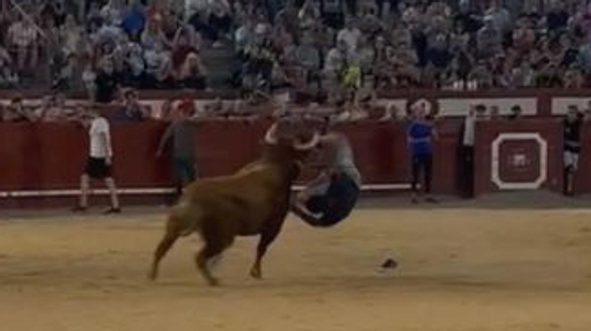 Vídeo: durísima cogida en la capea de Arévalo