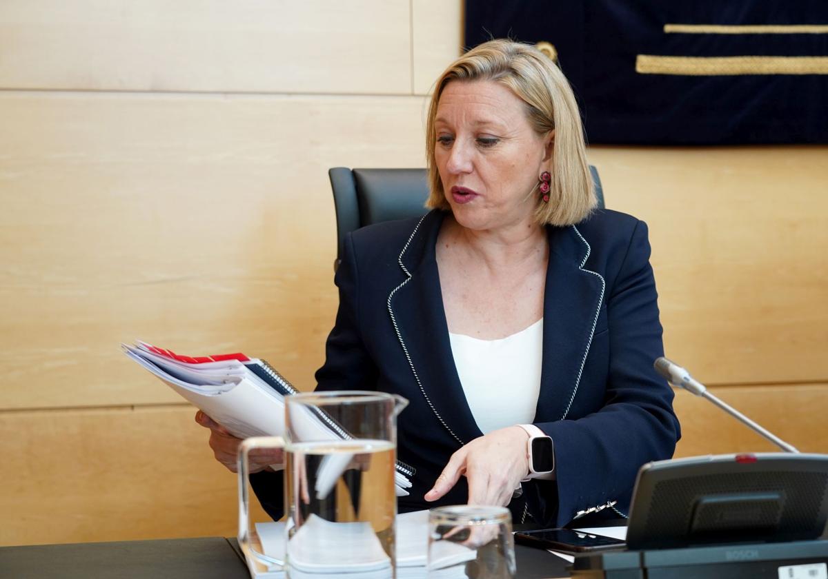 Isabel Blanco, durante su comparecencia de mitad de legislatura en las Cortes de Castilla y León.