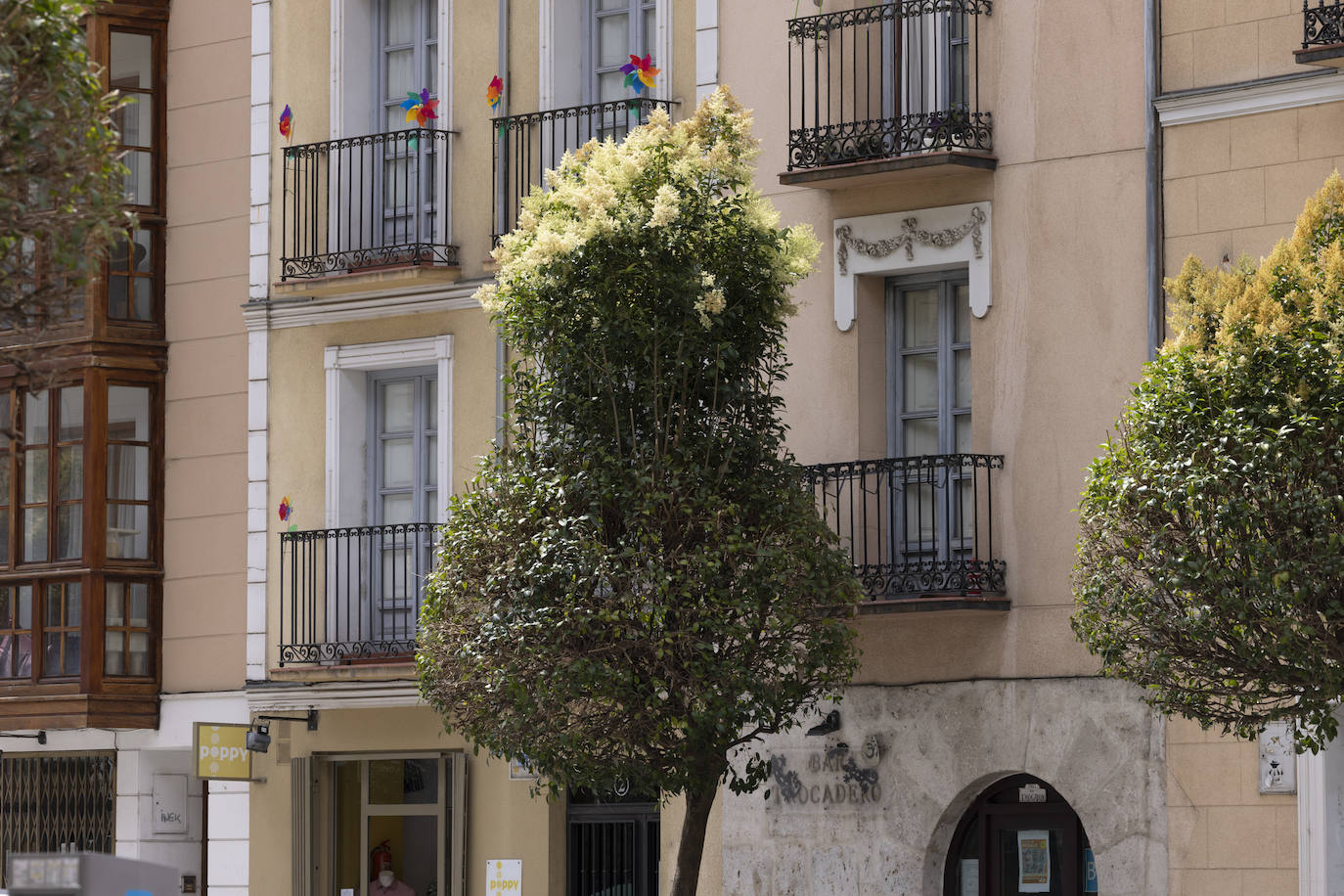 Calle Juan Mambrilla