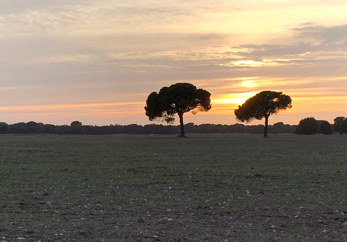 Atardecer en San Miguel del Arroyo.