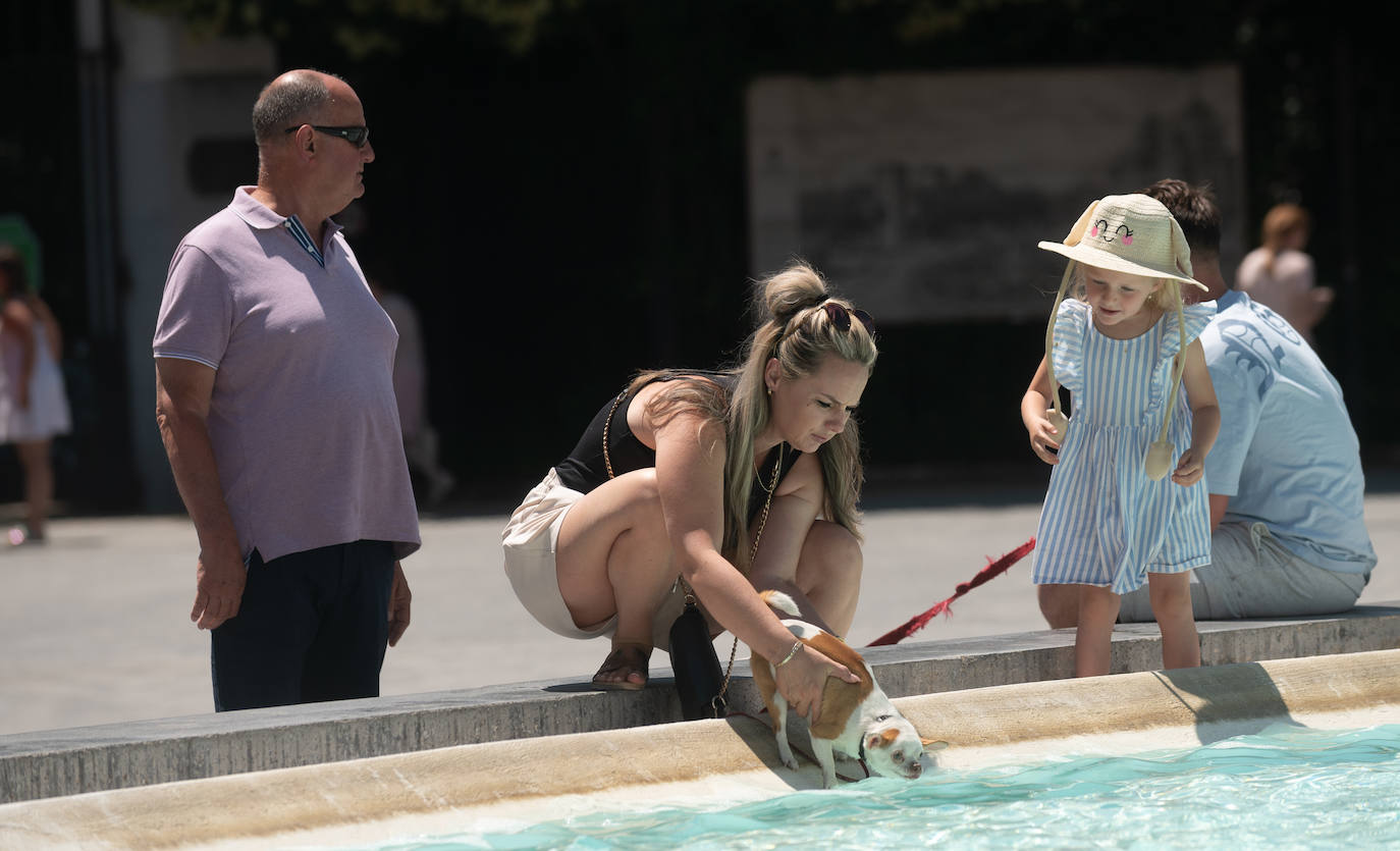 Comienza la mini ola de calor en Valladolid