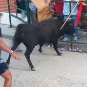 Las calles de Cigales vibran con el primer encierro de las fiestas