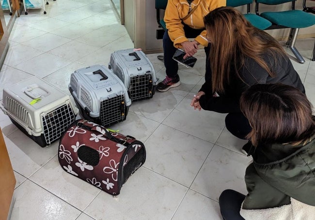 Voluntarias de la asociación «Los Gatos de Juana» recibiendo el informe de los gatos esterilizados un jueves.