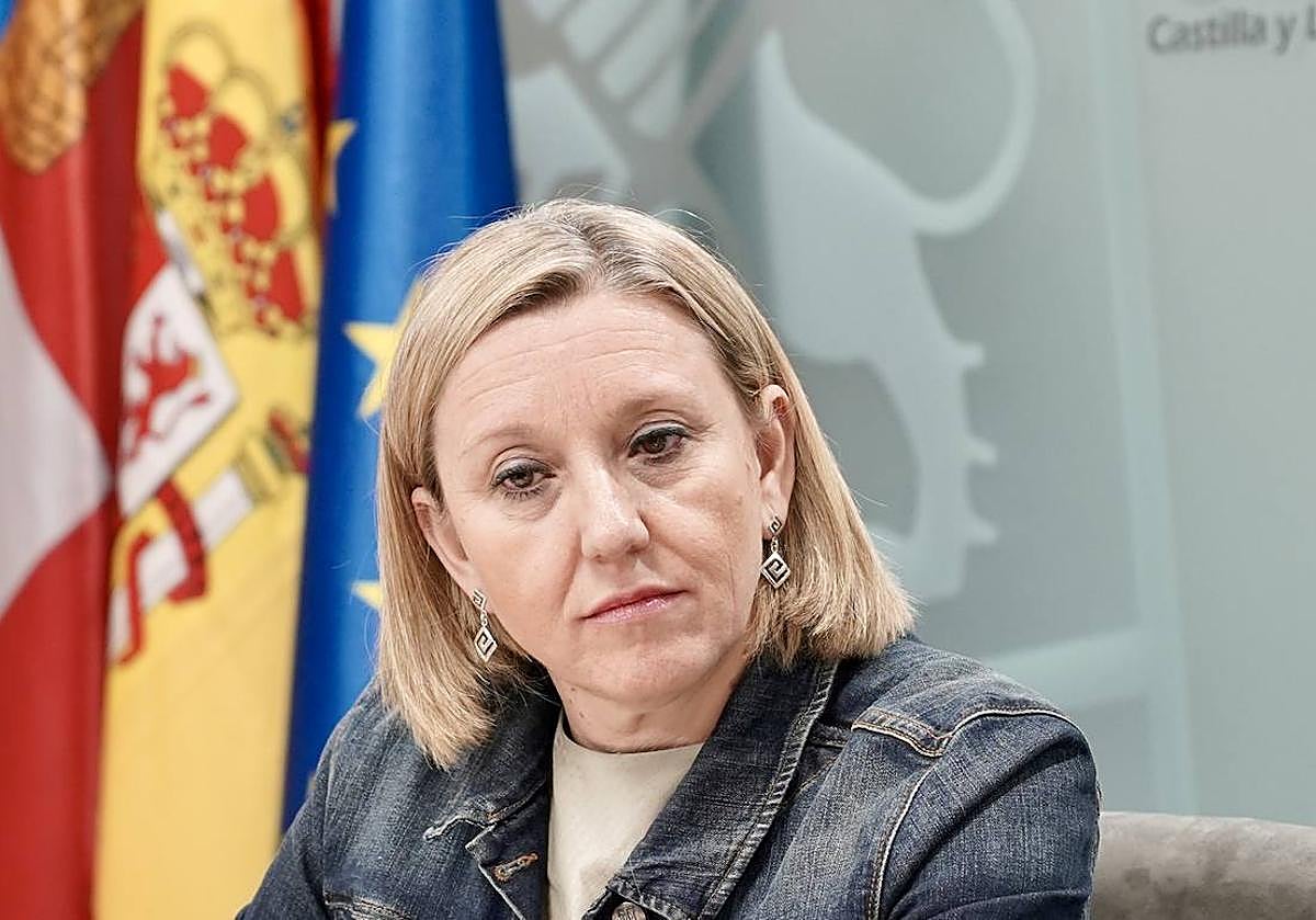 La vicepresidenta de la Junta y consejera de Familia e Igualdad de Oportunidades, Isabel Blanco, durante una rueda de prensa en las Cortes.