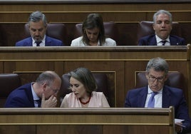 El líder del PP, Alberto Núñez-Feijóo (abajo, d), este miércoles en el Congreso, donde el presidente del Gobierno, Pedro Sánchez, presentó el plan de calidad democrática.