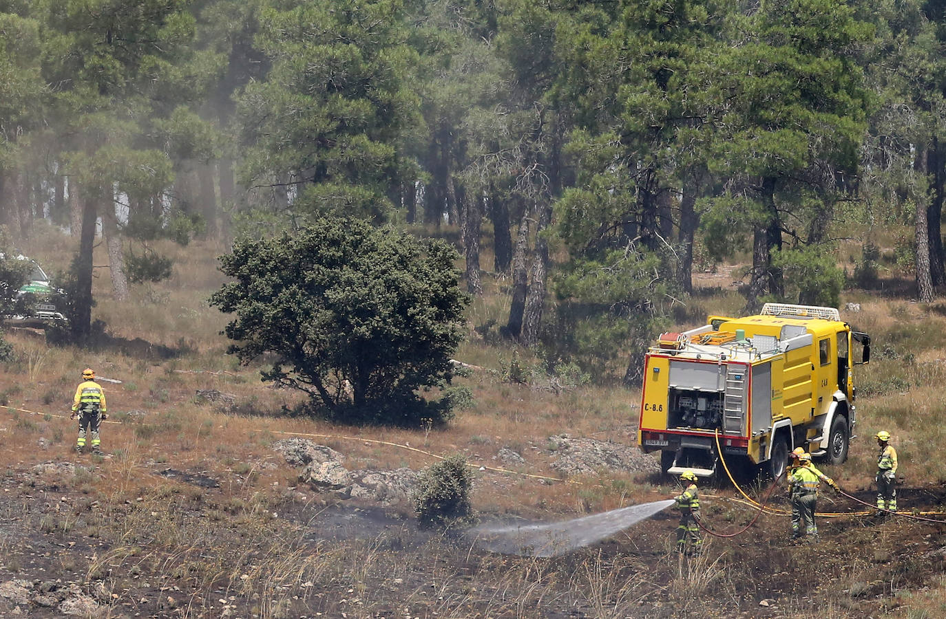 Fotografías del incendio en un pinar de La Higuera