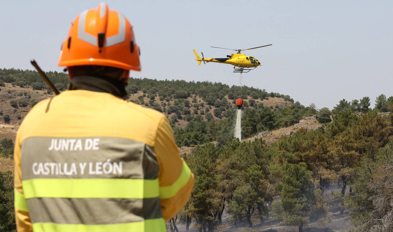 Fotografías del incendio en un pinar de La Higuera