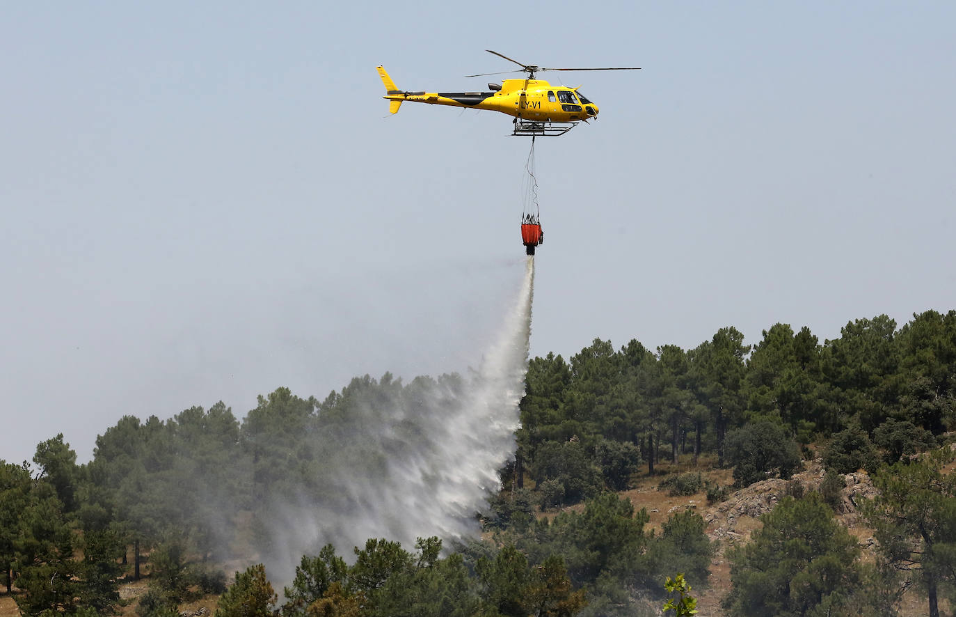 Fotografías del incendio en un pinar de La Higuera