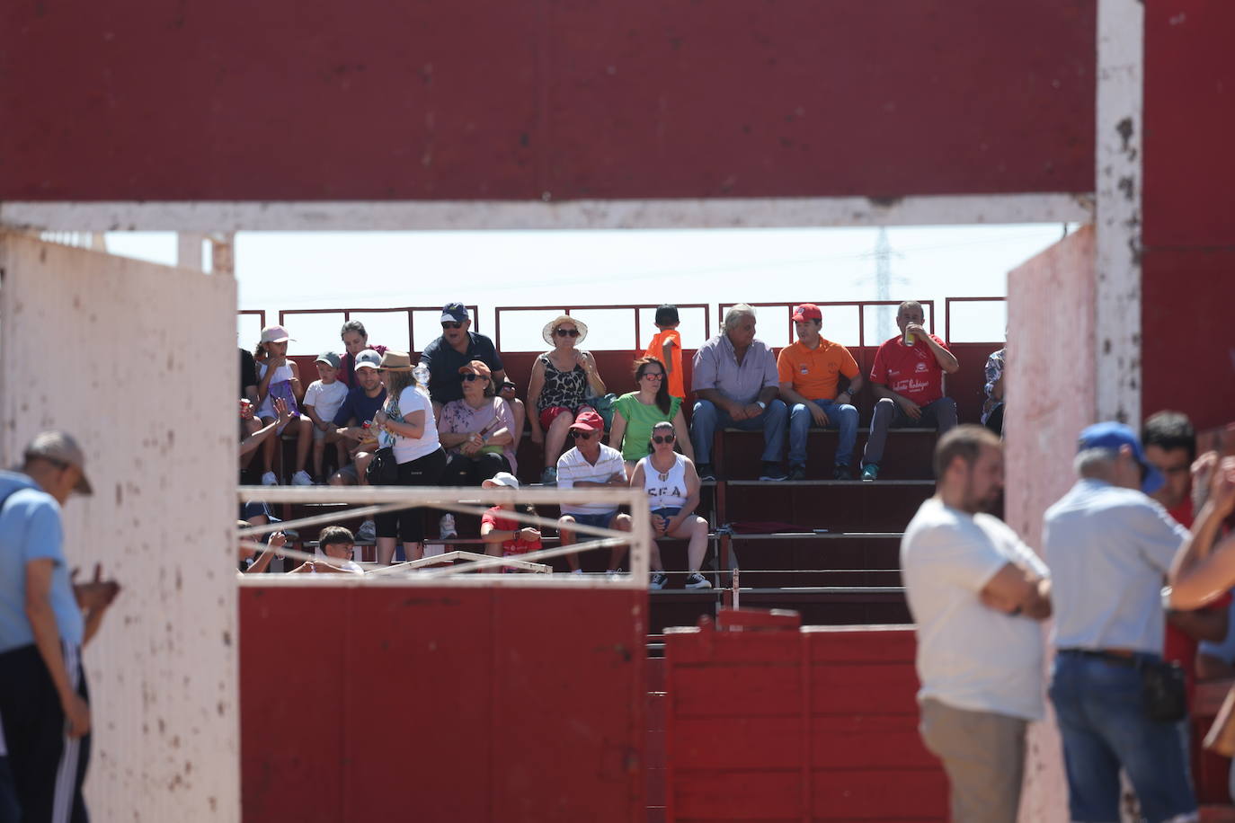 El segundo encierro de las fiestas de Matapozuelos, en imágenes