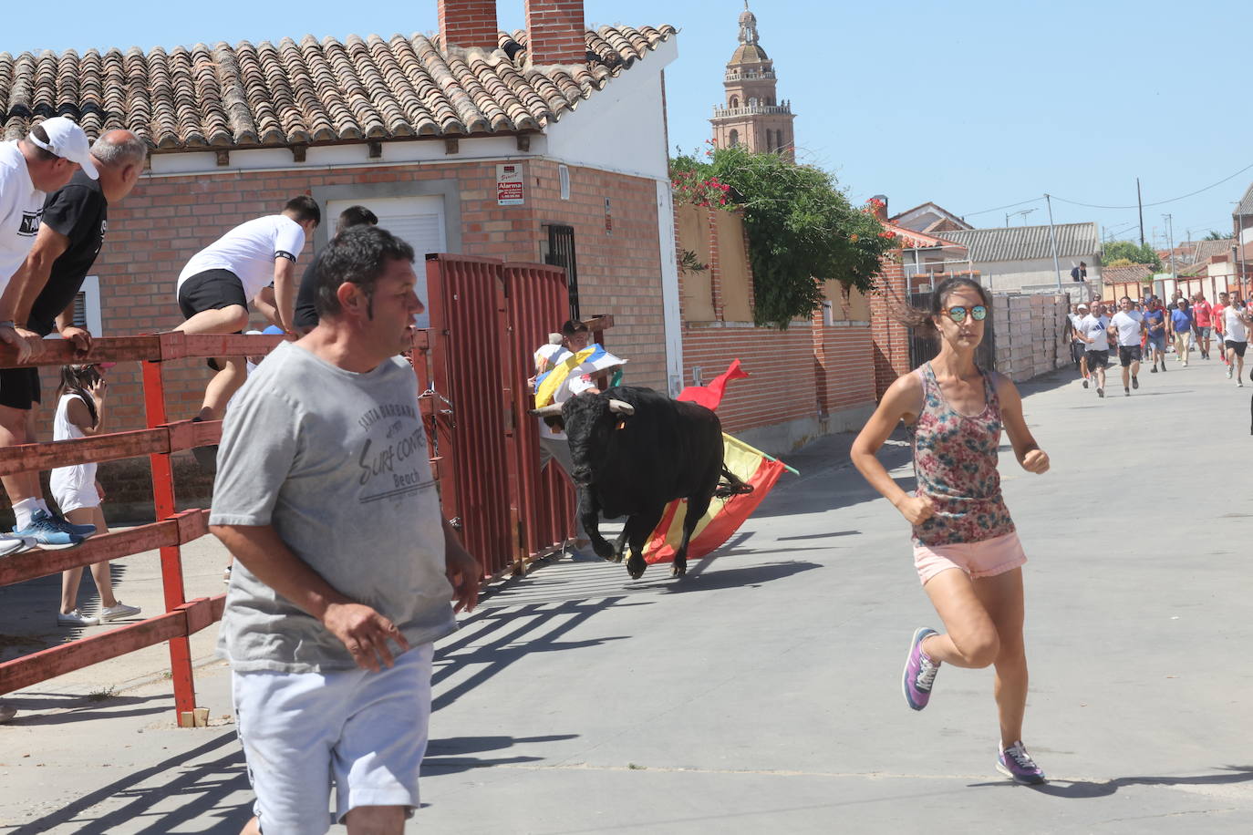 El segundo encierro de las fiestas de Matapozuelos, en imágenes