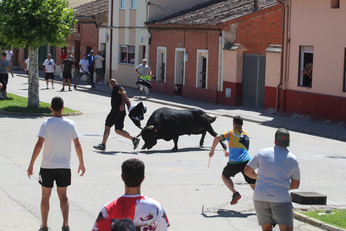 El segundo encierro de las fiestas de Matapozuelos, en imágenes