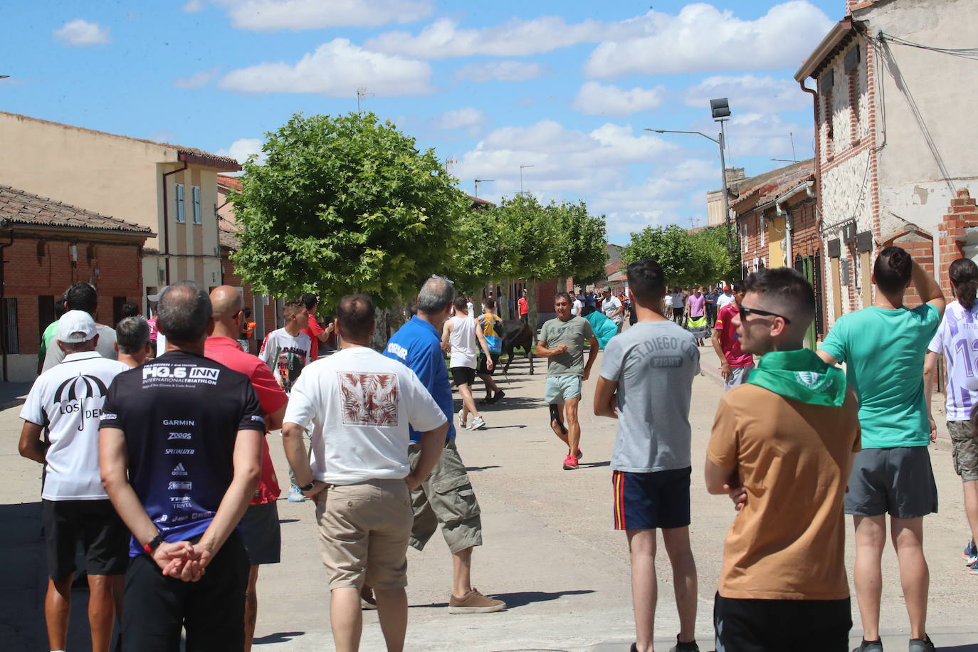 El segundo encierro de las fiestas de Matapozuelos, en imágenes