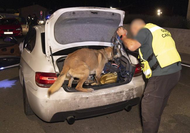 Uno de los perros de la Unidad revisa el maletero de un turismo durante un registro.