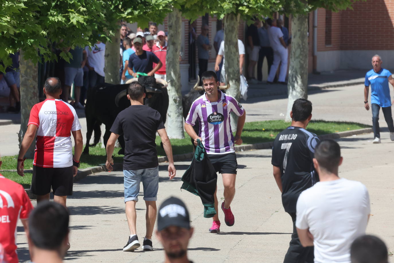 Encierro matinal de la jornada del domingo en Matapozuelos (Valladolid)