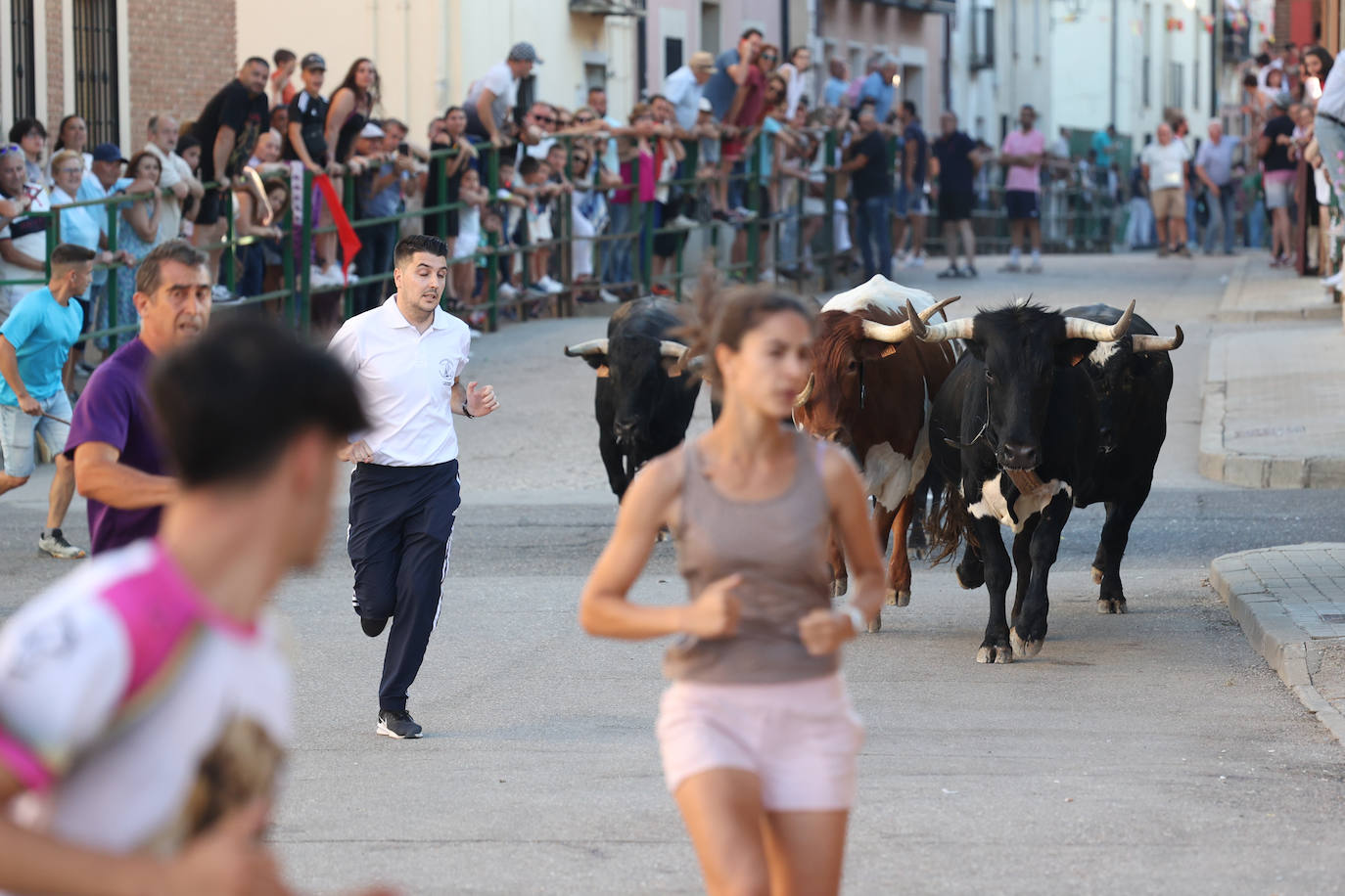 El sexto encierro de las fiestas de Santa Marina en Cigales, en imágenes