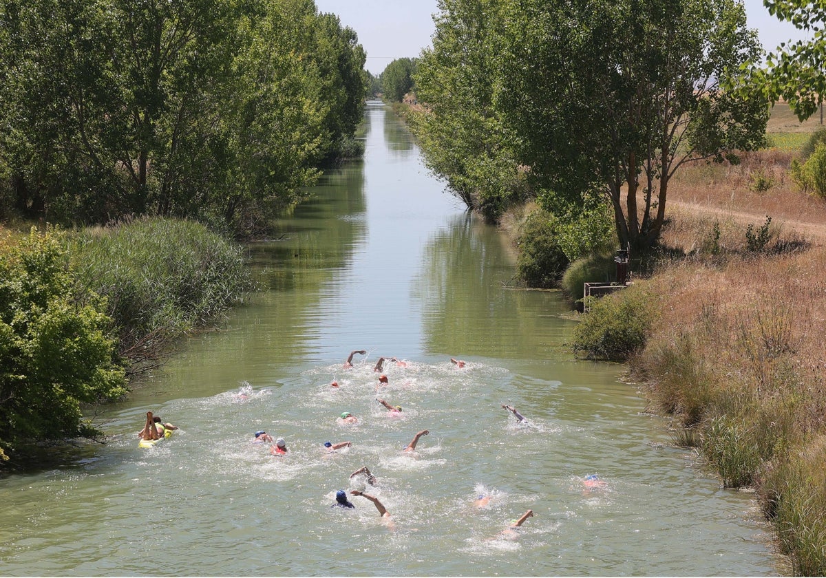 VI Travesía a nado Canal de Castilla en Paredes de Nava