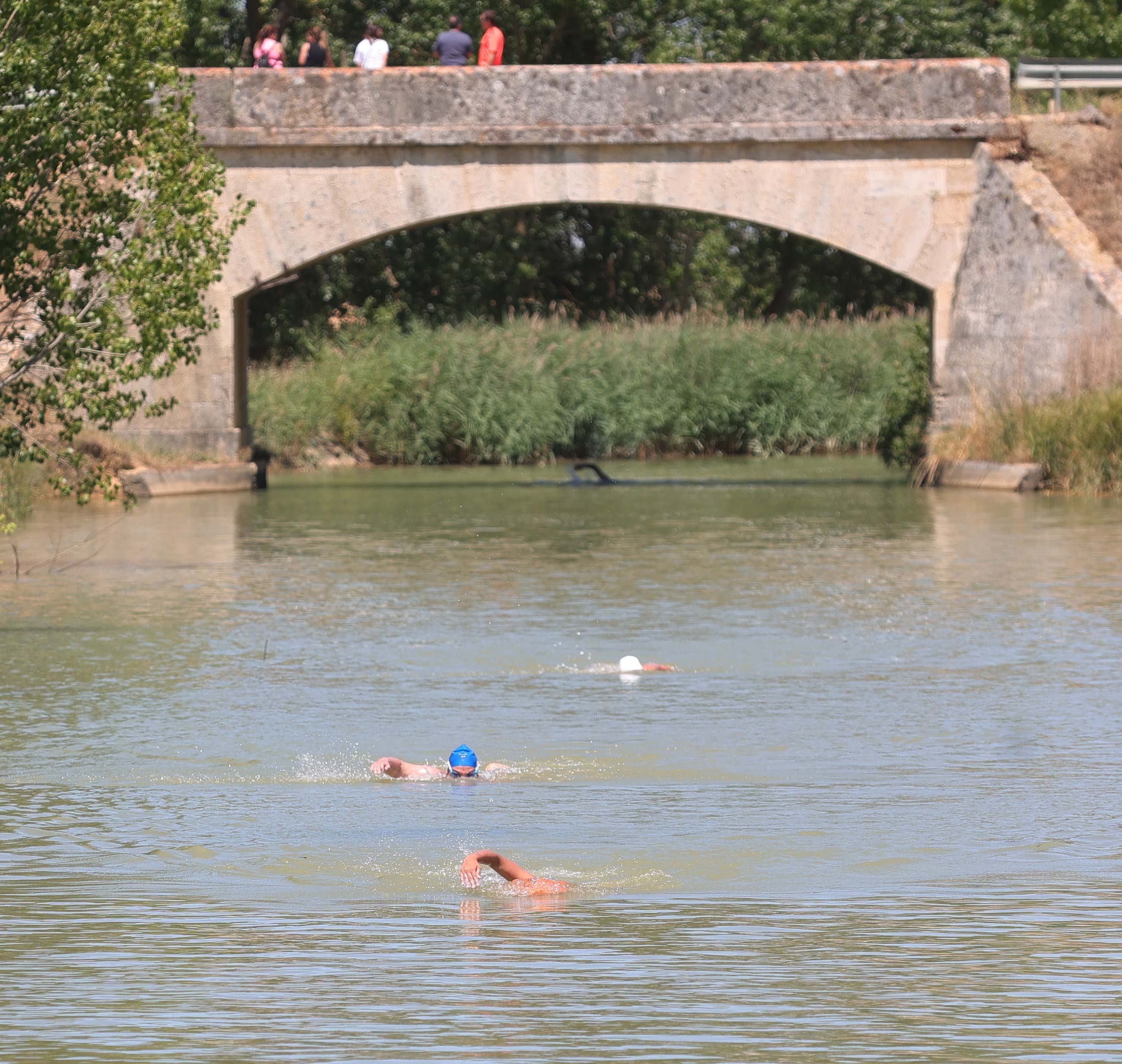 VI Travesía a nado Canal de Castilla en Paredes de Nava