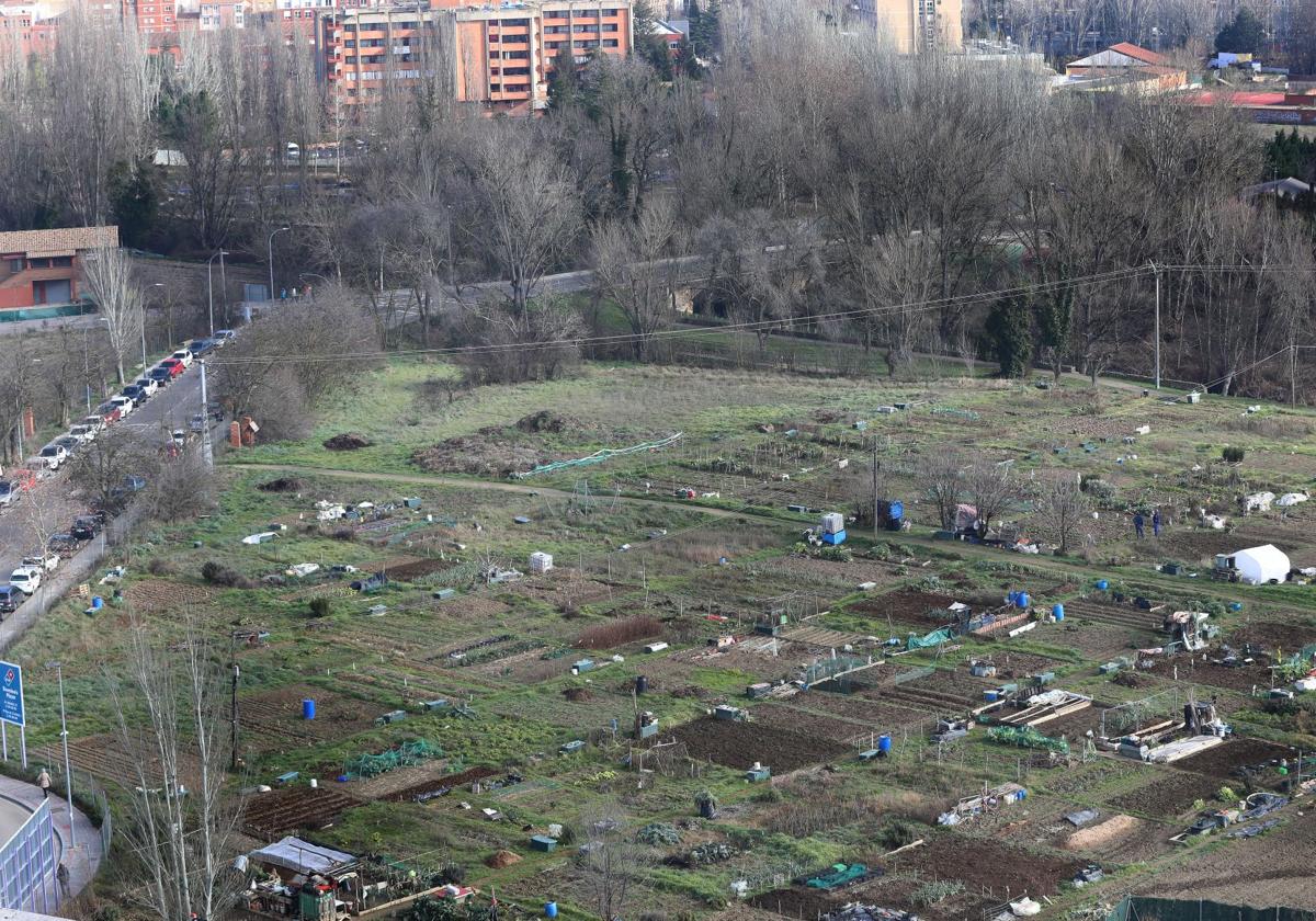 Huertos urbanos municipales, junto al Hospital Río Carrión.