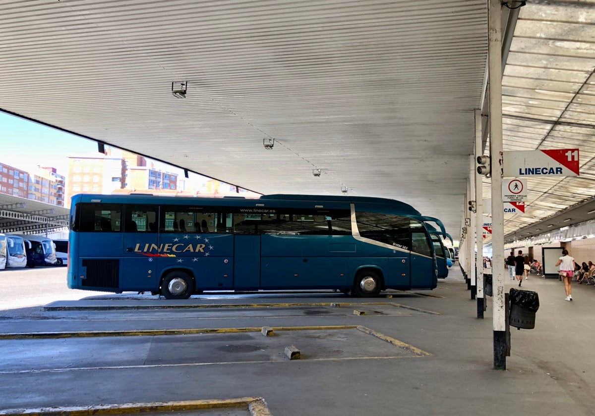 Autocares de Linecar en las dársenas de la Estación de Autobuses de Valladolid