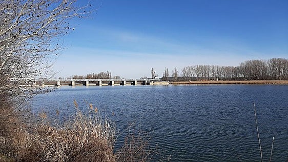 La reserva hídrica de los embalses del Duero baja 2,6 puntos y se sitúa al 81,7%
