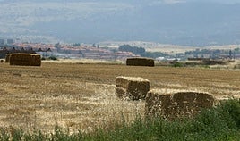 Una tierra en Segovia durante la cosecha.