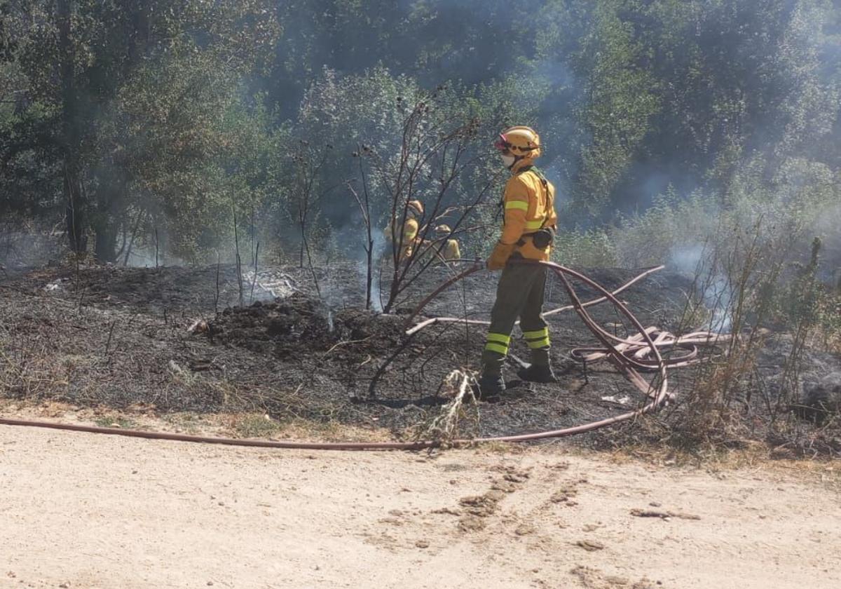 Labores de extinción y refresco del terreno quemado en el incendio de este martes en La Granja.