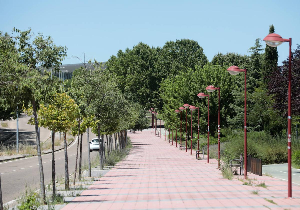 La avenida del Real Valladolid, en imágenes