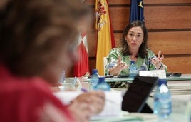 La consejera de Agricultura y Ganadería durante la reunión celebrada con representantes de las organizaciones agrarias, este miércoles.