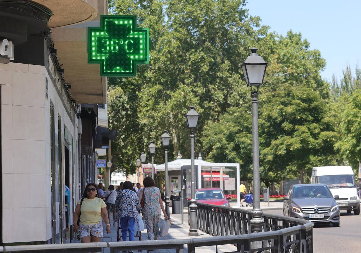 Los palentinos combaten el calor como pueden