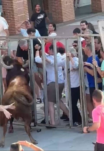 El toro levanta al hombre de 60 años durante el encierro de Tudela de Duero.