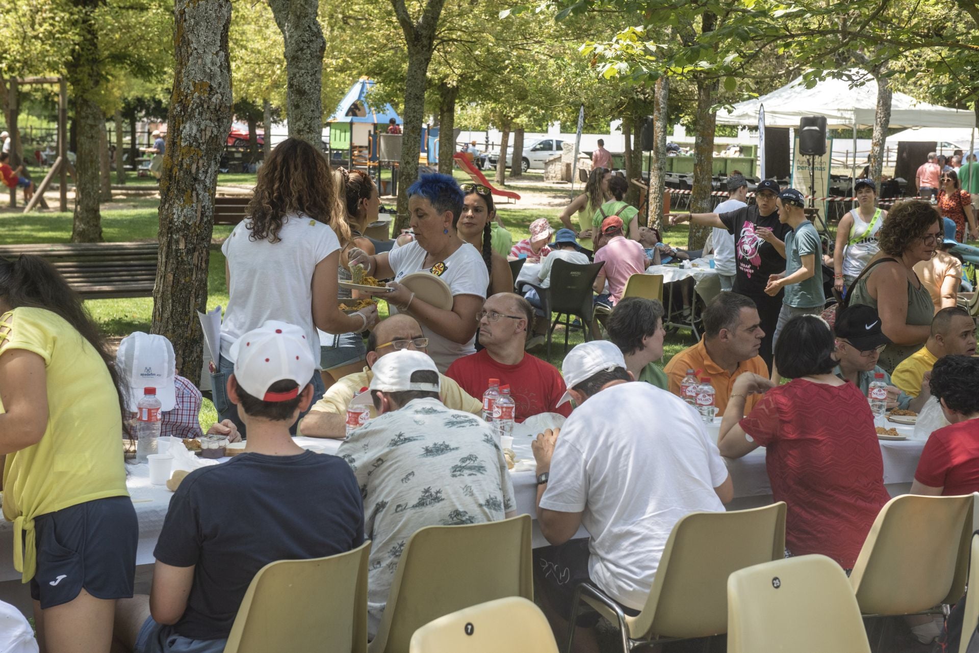 La paella popular de Apadefim, en imágenes