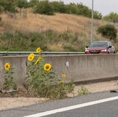 Un campo de girasoles en medio de la ronda exterior de Valladolid