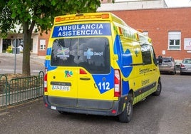 Heridos un motorista y su acompañante tras atropellar a un corzo en Loma de Ucieza