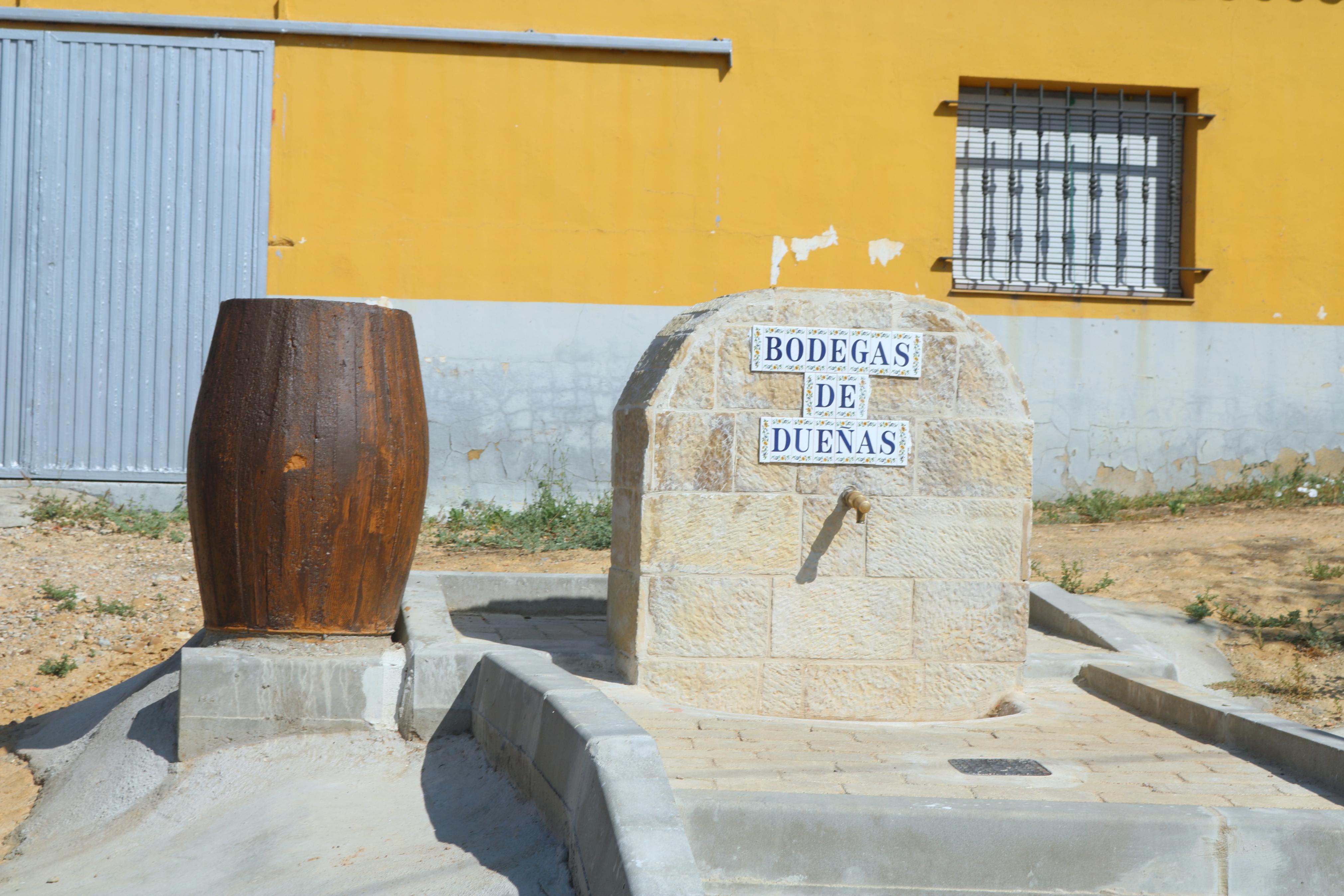 X Ruta Guiada por las Bodegas y Cuevas de Dueñas