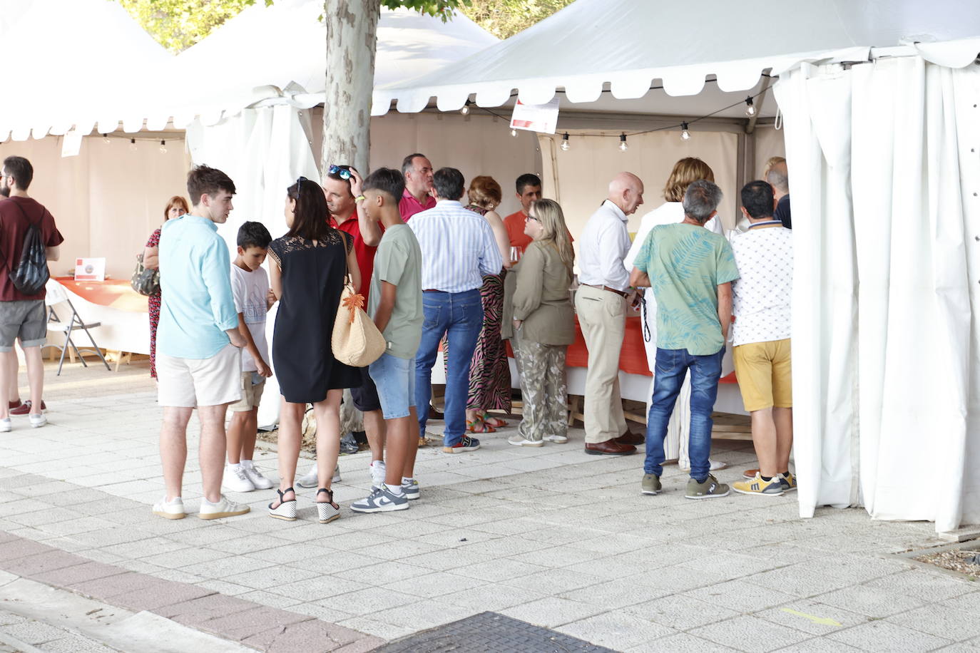 El Camino de Santiago dedica en Frómista un festival al vino